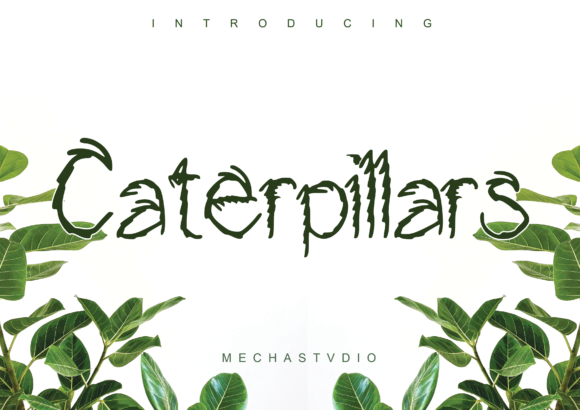 Caterpillars Font Review