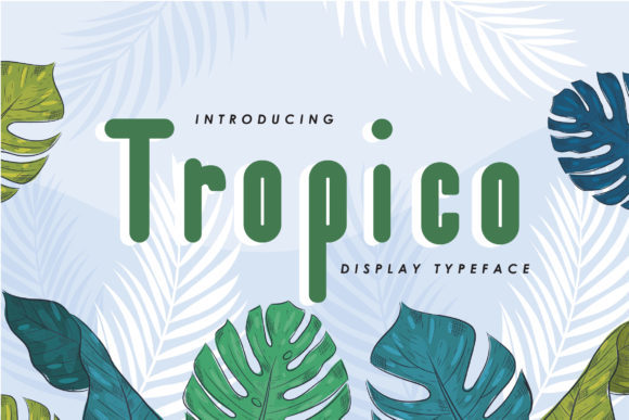 Tropico Font for Web Design